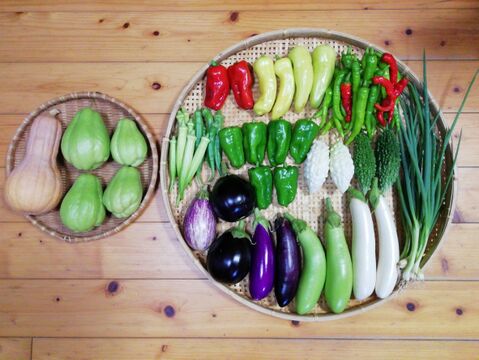 【農薬化学肥料不使用】ハヤトウリ入り野菜セット【８種類以上の野菜】【あわせ買い可】【熨斗(のし)対応可】（８０サイズ箱）