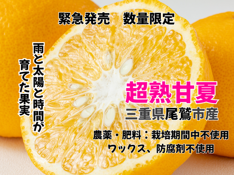 【超熟甘夏 – 雨と太陽と時間が育てた果実】尾鷲甘夏お試し2kg