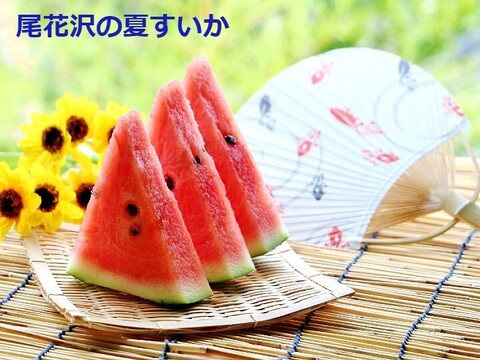 甘～い尾花沢 大玉夏すいか 2～3Ｌx 1玉  山形県産  7~9kg【予約販売】