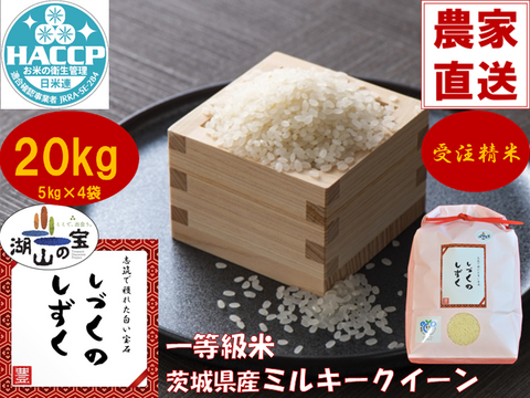 【令和7年産】毎日5合なら約26日分！茨城県産ミルキークイーン　しづくのしずく20kg（5kg×4袋）