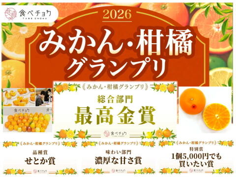 🏆みかん柑橘グランプリ2026最高金賞含む最多４部門受賞の木熟せとか！大感動！樹上完熟させた濃厚な甘みの大トロせとか！とろける甘さと上品な味わい！「木熟せとか」厳選プレミアム　約１．４ｋｇ【401】