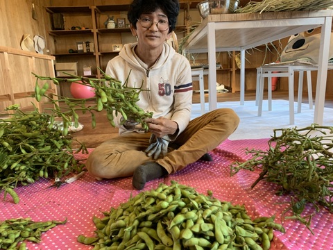奥出雲産自然栽培丹波黒えだまめ(500g)