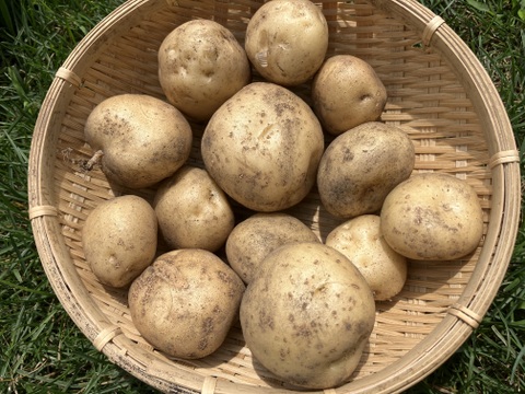 【北海道産】80サイズたっぷり詰め込んだ旬の野菜セット(5～10種/バランスよくできるだけ多品種をお送りします！！）