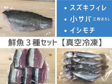 真空冷凍 鮮魚３種セット 急速冷凍 スズキフィレ 急速冷凍 小サバ三枚おろし イシモチ 下処理済 千葉県産のその他魚 食べチョク 産地直送 産直 お取り寄せ通販 農家 漁師から旬の食材を直送
