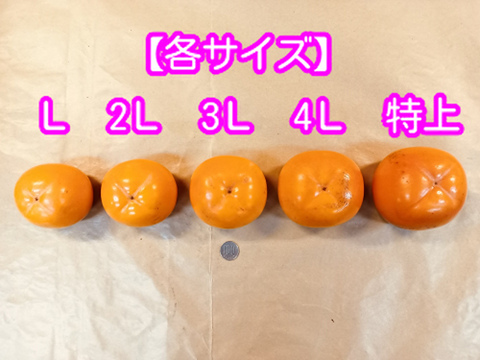 会津みしらず柿（種なし）　約2.5kg Lサイズ