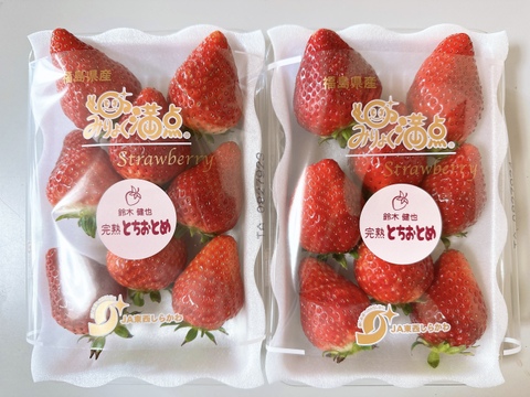 🍓✨️テレビで紹介された！完熟とちおとめ　4パック