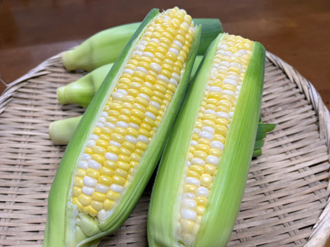 【2024秋】【訳あり】先端カット　秋のドルチェドリーム６本