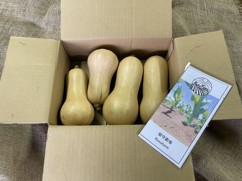 留守農場のまろやかバターナッツ詰め合わせ（３㎏）