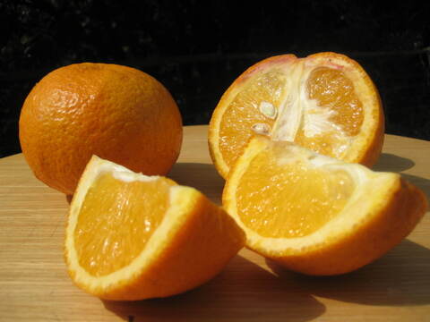 ※はる様専用※　瀬戸内よりお届け！愛媛県産ビーツ（デトロイトダークレッド）３㎏【約６個・サイズ混合・ご家庭用】葉っぱもお届けします！＋甘夏みかん 3㎏詰合せ【約10～15個・サイズ混合・ご家庭用】