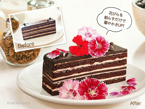 【エディブルフラワー】なでしこ・化学肥料/農薬不使用の安心して食べられるお花　10輪