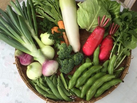 【旬の野菜セット】烏骨鶏のたまご+ルバーブジャム+レッドキウイ(4個)【限定販売】【日頃の感謝の気持ちを届けよう！】【贈答用】