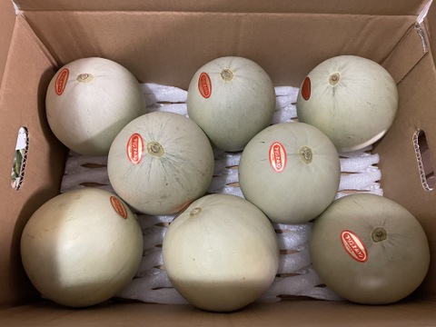 テレ東昼めし旅で紹介されました！香り豊かプリンスメロン