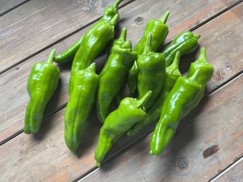 ちょっとめずらしい夏野菜セットS 【5-6種】　農薬不使用栽培