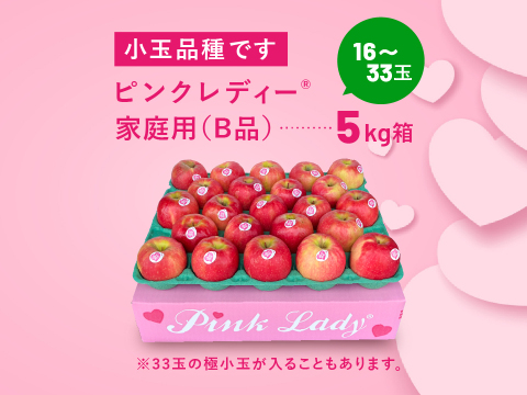 ピンクレディー®︎ 家庭用B品 5キロ箱使用 長野県 信州 安曇野 リンゴ 幻 幻のリンゴ 予約 希少 旬 小キズあり 中玉〜小玉 商品ID31409 ピンクレディー