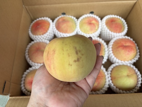 桃🍑　訳あり　3kg