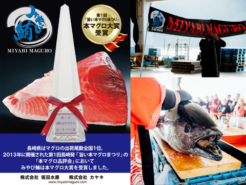 【秋のごちそう】お美味さ格別⭐みやび鮪「★赤身と粗挽きたたき計400g」赤身柵200gとたたき200gのセット
