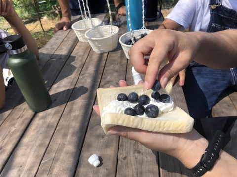【農薬・肥料不使用】雑味のない、きれいな味｜朝摘みブルーベリー（1kg）
