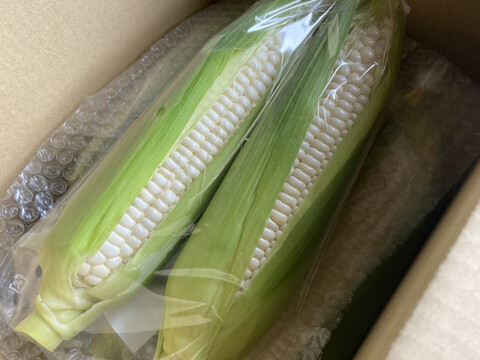 朝どれ】生でも食べられる！フルーツみたいな極甘 白い