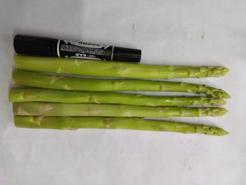 シャキシャキ！さぬきのめざめ秀品太めのL~2L夏芽１㎏