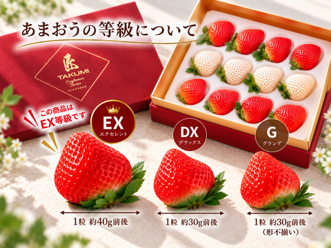 予約販売 2026年11月下旬～順次発送】 紅白いちごセット 紅白極上