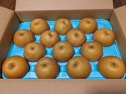 【南水5ｋｇ】糖度15°、超甘い、シャリ感、硬い、ジューシー、日保ちする信州生まれの優れもの！⑦【秀品】