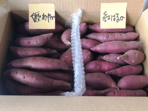 【食べ比べ】新潟のさつまいも　紅はるか＆姫あやか4kg#栽培期間中農薬・除草剤なし#三カ月熟成
