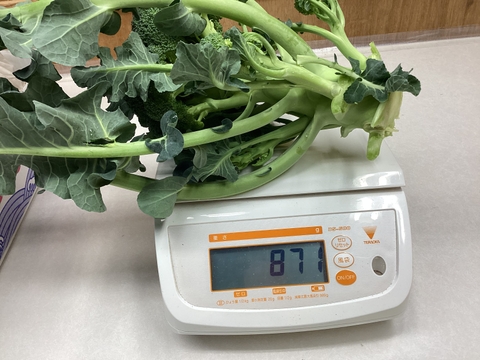 本日21日　最終すぐ出荷80サイズの箱いっぱい！漁師の畑直送茎がおいしいはっぱがおいしい！？常温品同梱はひじき煎餅なども送料そのままで！