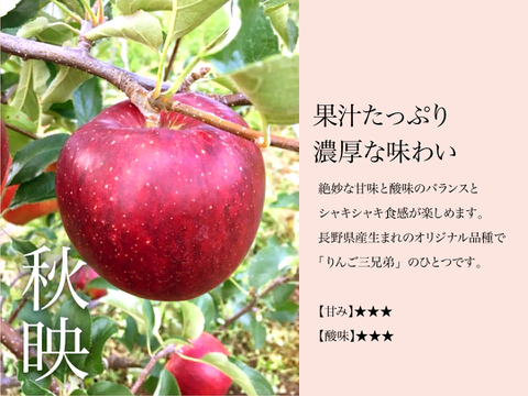 【2026年予約】『秋映』家庭用✨シャキッと食感！味も色も濃い秋のりんご！5kg