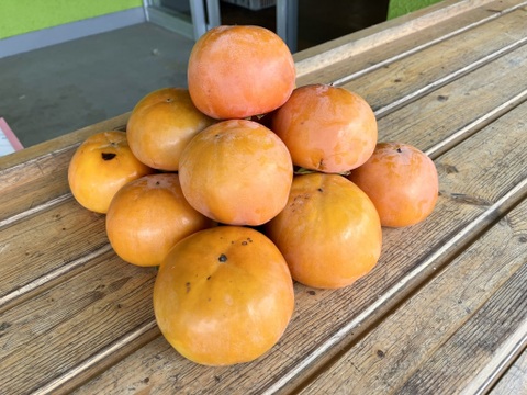 【家庭用】甘さ自慢の富有柿３kg（約１４個）大山くろぼく土＆酵素発酵有機肥料育ち