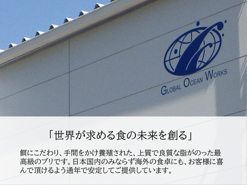 【鹿児島産ぶり】冷凍・ぶり１尾セット（皮無ロイン背腹計４ｐ、カマ２ｐ）