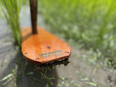 【新米令和７年】『Heitarō Rice』秘境 金山町産　幻のお米 亀ノ尾4kg