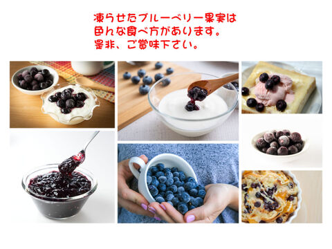 冷凍ブルーベリー：ラビットアイ系1Kg