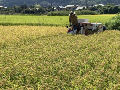 グルテンフリー！半生米麺　【食べ比べ】お試しセット（平麺・細麺　120ｇ×2）