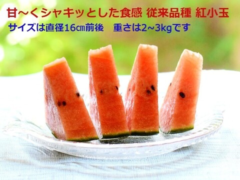 甘～い尾花沢小玉すいか ピノガール・紅小玉各1玉 山形県産 5~6kg【 予約販売】