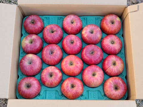 信州産葉とらずサンふじ5kg11〜18個入り　贈り物にもご家庭用にもおすすめ