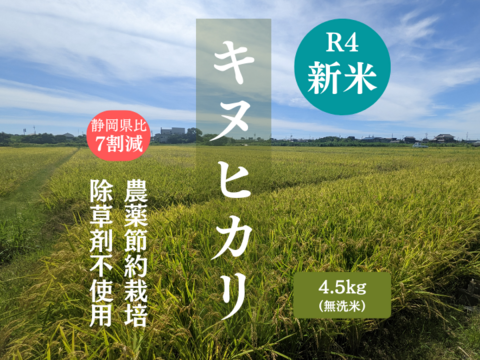 キヌヒカリ無洗米4.5kg（農薬節約栽培のお米）