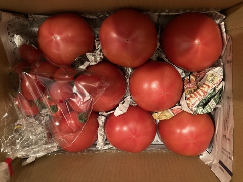 毎日トマト！栄ちゃんトマト（大きめサイズ）＆アイコのセット商品