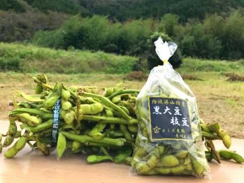 ＼期間限定先行予約・農家直送！／ 丹波篠山の秋のごちそうセット【令和7年新米】（新米2kg＋黒枝豆500g）【数量限定】お米と黒枝豆セット ご家族で 贈り物に お得なセット 売切れ次第終了