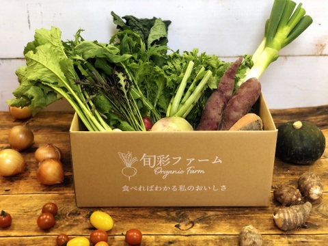 旬彩野菜セット6〜7品目+サラダセット5袋《化学肥料・農薬不使用》