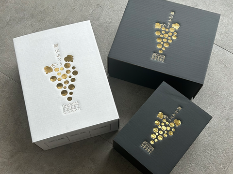 【特秀品】予約特別価格！皮ごと食べる濃甘ぶどう★ナガノパープル｜濃厚な甘さとしっかり食感の極上ぶどう！2房