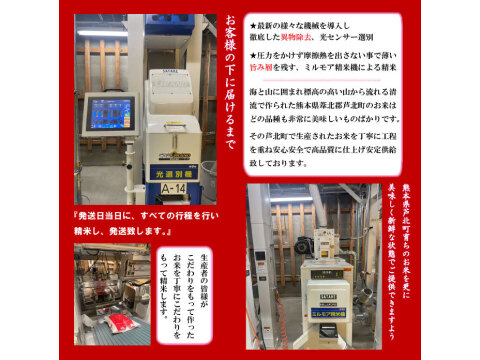 令和６年産 新米 米 白米【１０キロ】   熊本県産くまさんの輝き最高級米【特Sランク】新鮮発送日に精米【特別栽培米】 農薬 化成肥料 通常の慣行栽培の半分以下