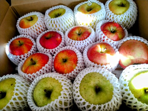 農薬5割減・化学肥料不使用の特別栽培りんご🍎🍏おまかせりんご3種食べ比べ5kg🍎🍏 訳ありご家庭用 りんご詰合せ 化学肥料不使用 青森県特別栽培認証 皮ごとおいしい🍴