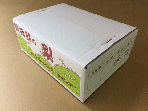 千葉県産　市川のなし【２品種食べ比べ】3㎏『5～8玉入』・秀品　※フルーツキャップ個装