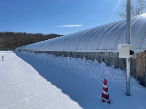訳あり平飼い卵30個(たまごトレー)