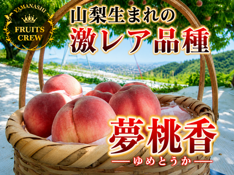 日テレ『news every』紹介】山梨生まれ激レア品種🍑夢桃香🍑本場山梨の