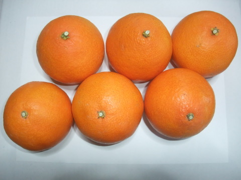 とろける・プル甘！ひめまる愛果まどんな（家庭用約３Kg）