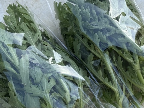 採れたて！旬の野菜セット(8〜12品目)（2人前) 【冬ギフト】