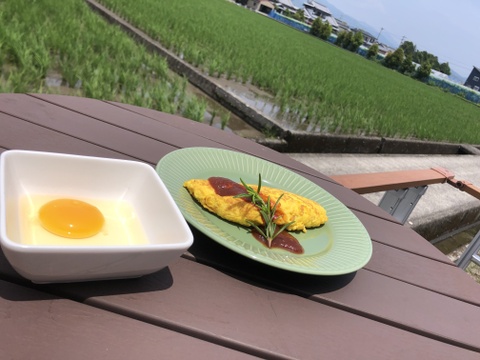 【大寒卵】★平飼いで育てた有精卵12個入り★
小振りながらも濃厚な土佐ジロー卵 　仁淀ブルーの町いの町からお届け