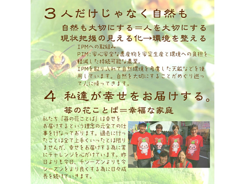 妊婦さん子供のおやつに　フリーズドライいちご　"ふわっと越後姫"4g 10袋　100%無添加無加糖無着色 ドライフルーツ　定植後化学農薬不使用の安心安全ドライいちごおやつ国産いちご＊ふわっと姫4g