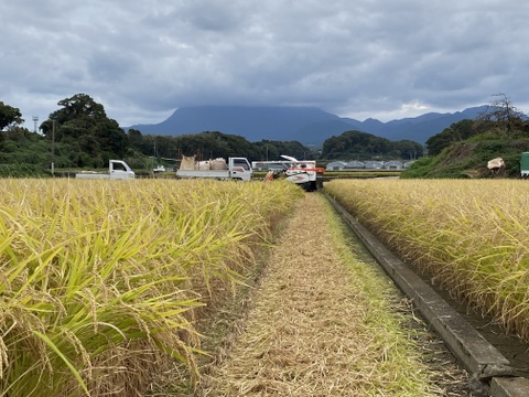 まほろば浪漫🌾ヒノヒカリ (精米5㎏)